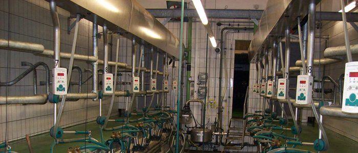 GEA-Fischgräten-Melkstand EURO-CLASS 1200